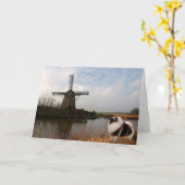 De Lege Kaarten van Millscape (Gele Bloem)