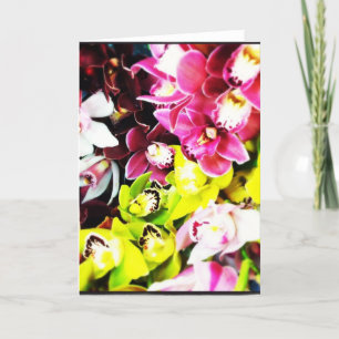 De Lege Wenskaarten van de Orchideeën van Kaart
