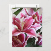 De Lelie van de dromer Briefkaart (Voorkant / Achterkant)