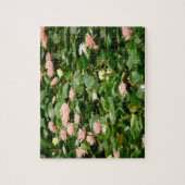 De lelievijver legpuzzel (Verticaal)