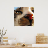 de lelijkste kat ter wereld poster (Keuken)