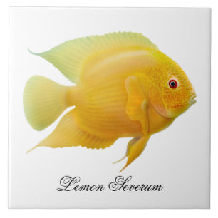 De Lemon Severum Cichlid Fish Tile Tegeltje