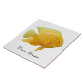 De Lemon Severum Cichlid Fish Tile Tegeltje (Zijkant)