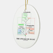 De lengte van de algenevolutionaire biologie keramisch ornament (Links)