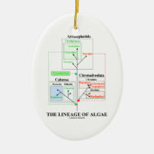 De lengte van de algenevolutionaire biologie keramisch ornament (Voorkant)