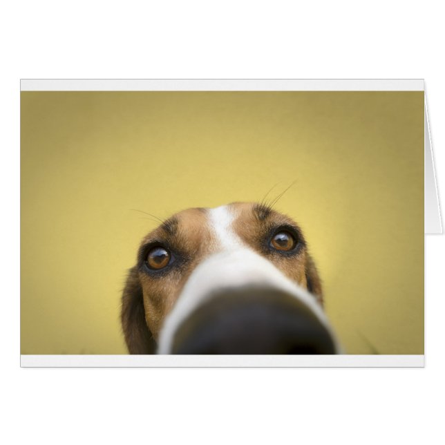 de lensreiniger (Voorkant Horizontaal)