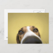 de lensreiniger briefkaart (Voorkant / Achterkant)