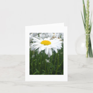 De lente Daisy Kaart