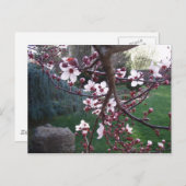 De lente is gestroomd briefkaart (Voorkant / Achterkant)