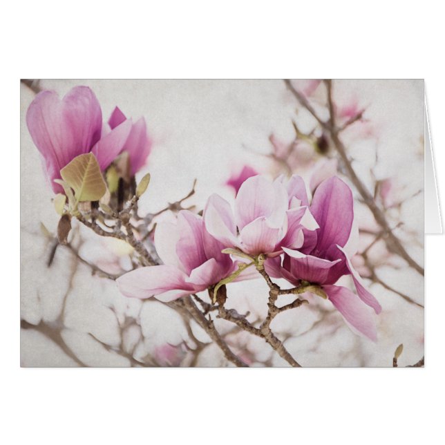 De lente is in de lucht (Voorkant Horizontaal)