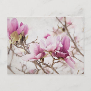 De lente is in de lucht briefkaart