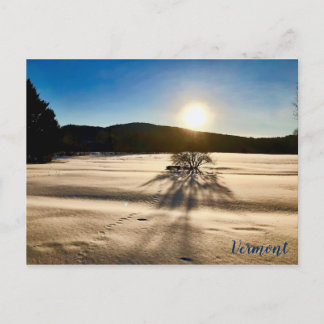 De lente lijkt ver weg briefkaart