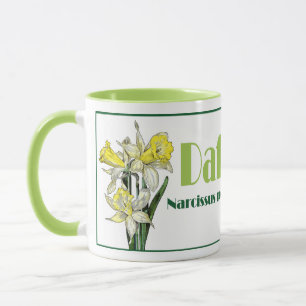 De lente narcis mok