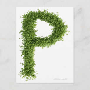 de letter "P" in het midden op de witte achtergron Briefkaart