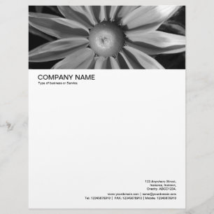 De Lettre Customisée En-tête grande image - Rudbecia en noir et blanc