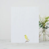 De Lettre En-tête : Canaries (Debout devant)