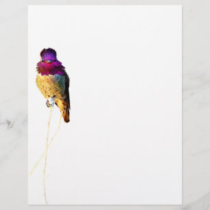De Lettre Papier en-tête photo Anna's Hummingbird