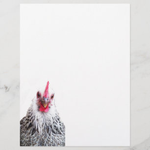 De Lettre Papier en-tête photo Cute Bantam Cochin Hen