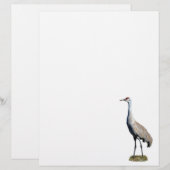 De Lettre Papier en-tête photo Sandhill Crane (Devant / Derrière)