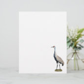 De Lettre Papier en-tête photo Sandhill Crane (Debout devant)