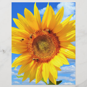 De Lettre Tournesol jaune et en-tête d'été des abeilles