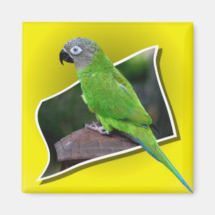 De leuke Duistere Geleide Magneet van de Vogel van