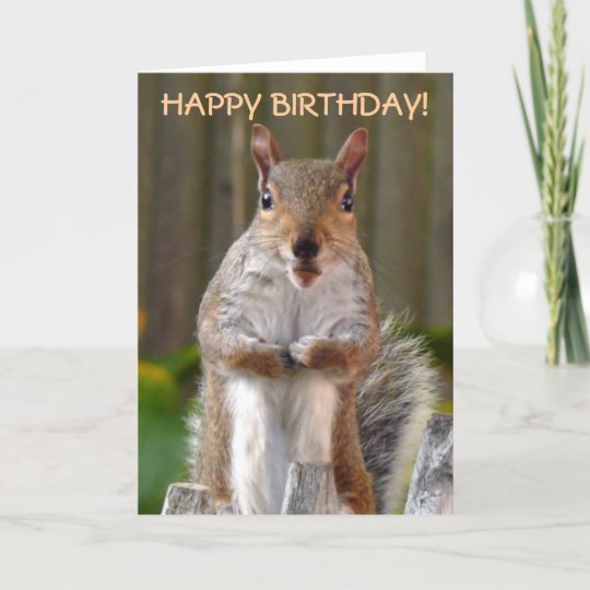 Afbeeldingsresultaat voor verjaardag eekhoorn