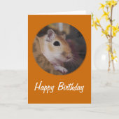 De leuke Gouden Woestijnrat van het Huisdier Kaart (Gele Bloem)