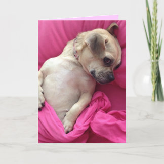De leuke Hond van het Puppy puft in het Roze Kaart