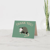 De leuke Illustratie van het Opossum