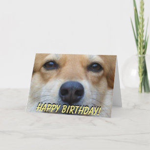 De leuke kaart van de corgiverjaardag