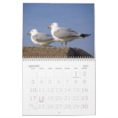 DE LEUKE KALENDER VAN DIEREN 2013 (Jan 2027)