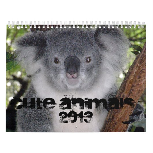 DE LEUKE KALENDER VAN DIEREN 2013 (Hoes)