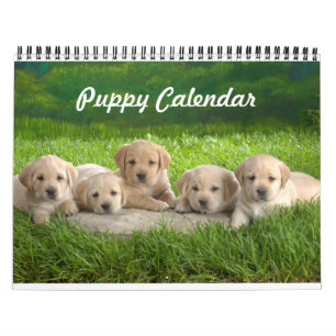 De leuke Kalender van het Puppy