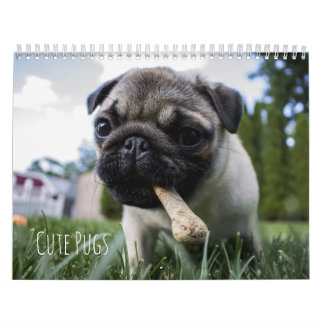 De leuke Pugs Personaliseerbare Kalender van