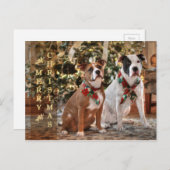 De leuke Redding Pitbull van Kerstmis en de Hond Feestdagenkaart (Voorkant / Achterkant)