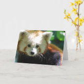 De leuke Rode Wenskaarten van de Panda Kaart (Gele Bloem)