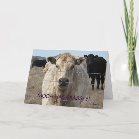 De leuke Zwart-witte Koe dankt u - Boerderij of Bedankkaart (Voorkant)