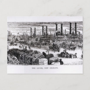 De Levee, New Orleans Briefkaart