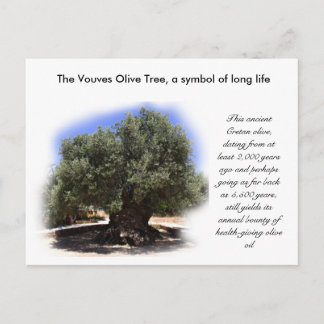 De levende boom van de Vouves, symbool van lang le Briefkaart