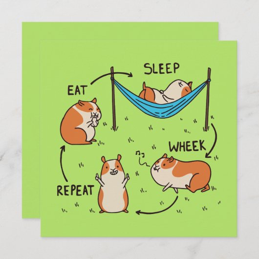 De levenscyclus van een cavia (Voorkant / Achterkant)