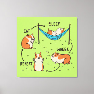 De levenscyclus van een cavia canvas afdruk