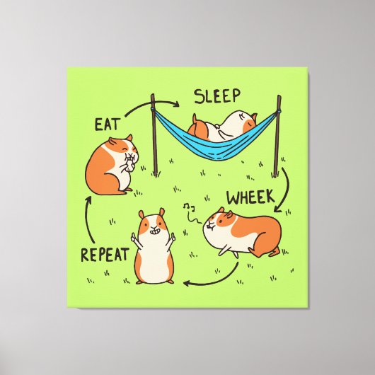 De levenscyclus van een cavia canvas afdruk (Voorkant)