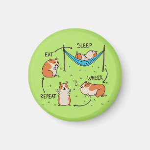 De levenscyclus van een cavia magneet