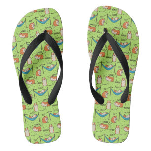 De levenscyclus van een cavia teenslippers