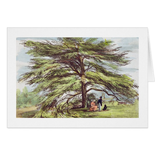 De Libanese cedar-boom in het Arboretum, Kew Garde (Voorkant Horizontaal)