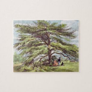De Libanese cedar-boom in het Arboretum, Kew Garde Legpuzzel