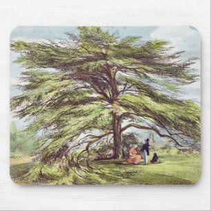 De Libanese cedar-boom in het Arboretum, Kew Garde Muismat