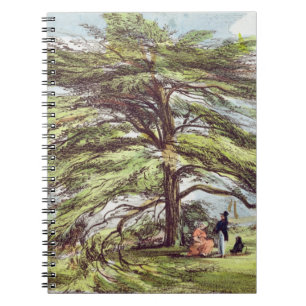 De Libanese cedar-boom in het Arboretum, Kew Garde Notitieboek