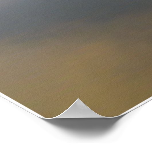 De Liberator Poster (Hoek)